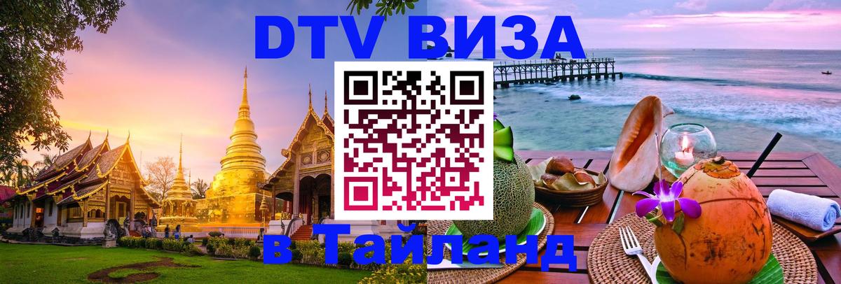 Оформление DTV визы под ключ: стоимость и тарифы, только загранпаспорт - Энгельс 